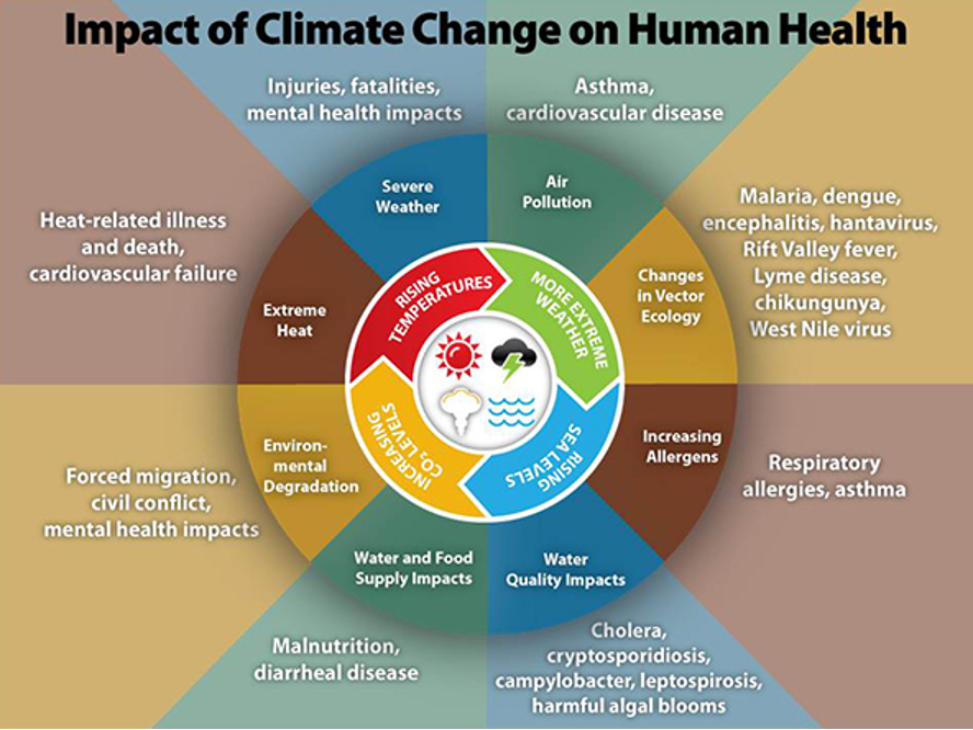 climate change and health research topics